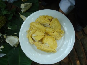 Durian fruit, the edible part