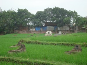 Tombs in rice pad Vietnam