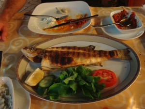 Grilled fish, tzatiki, spicy tomato dip 